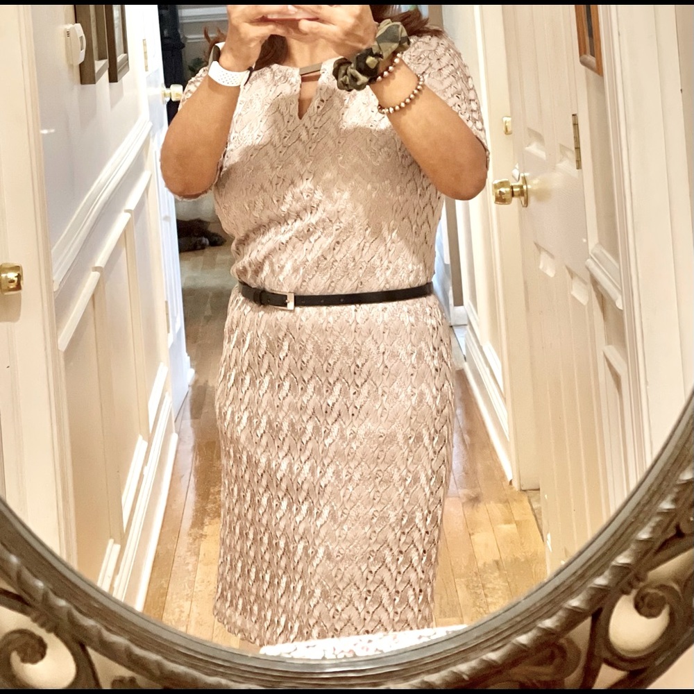 Tan/beige delicate embroidered with lining dress 6